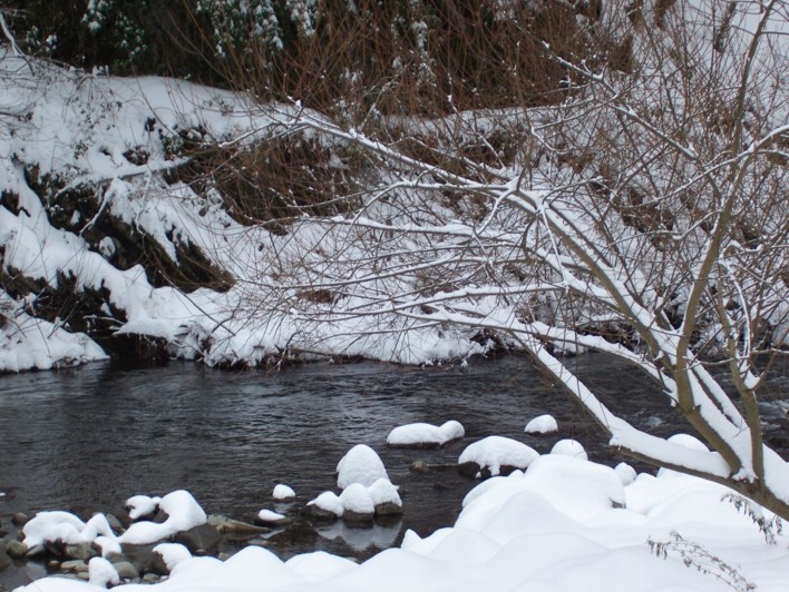  Image name: molino 2008 318.jpg 
 width: 708 pixel 
 height: 532 pixel 
 Size: 151505 bytes 
 Click to enlarge 